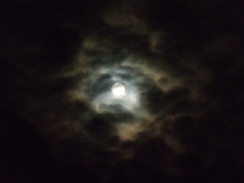 DSCN0686