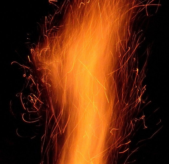 DSCN0737