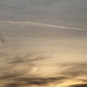DSCN0665