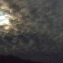 DSCN0685