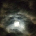 DSCN0686
