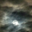 DSCN0688