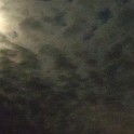DSCN0692