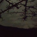 DSCN0714