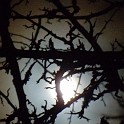 DSCN0714b