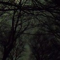 DSCN0715