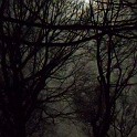 DSCN0716