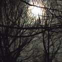 DSCN0717