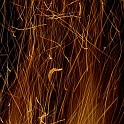DSCN0740b
