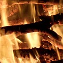 DSCN0741
