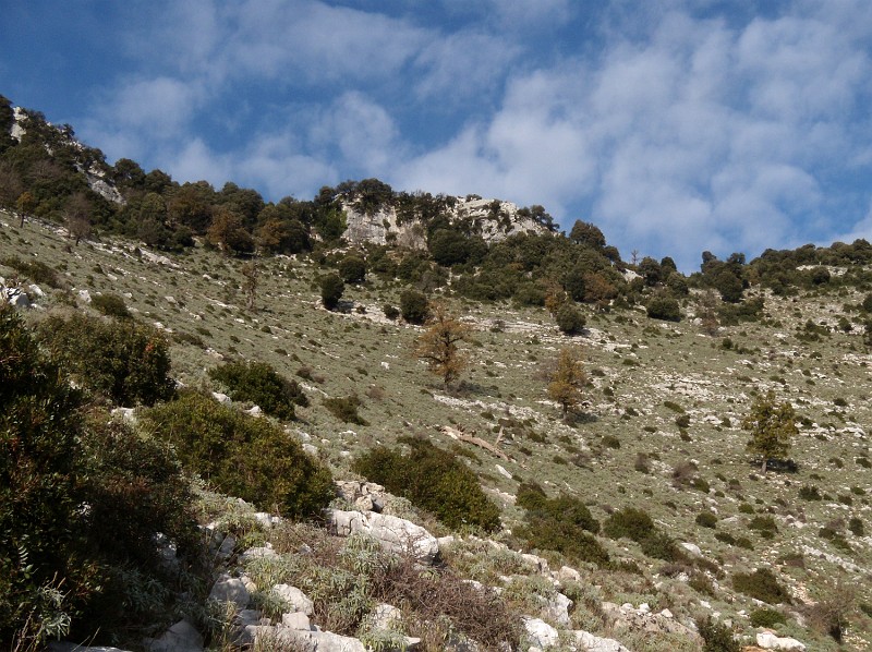 DSCN8284