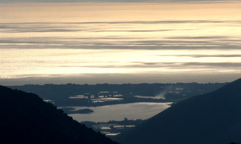 DSCN8341
