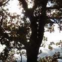 DSCN8221