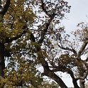 DSCN8257