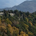 DSCN8265