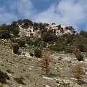 DSCN8284