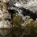 DSCN8295