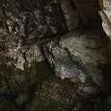 DSCN8298