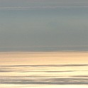 DSCN8305