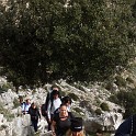 DSCN8314