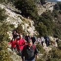 DSCN8318