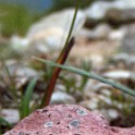 DSCN8385