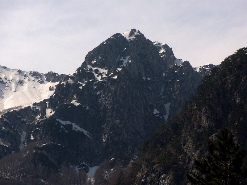 DSCN3085