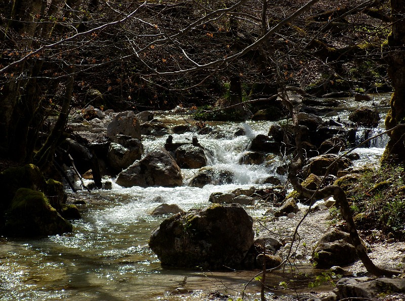 DSCN3087