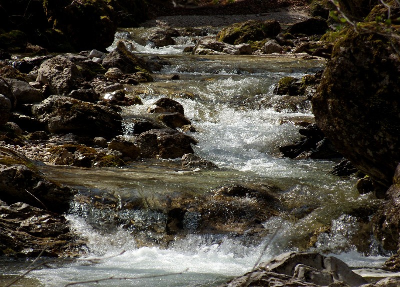 DSCN3087a