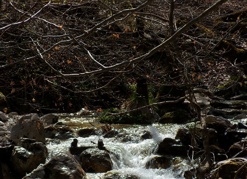 DSCN3087b