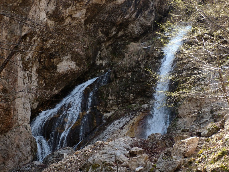 DSCN3104