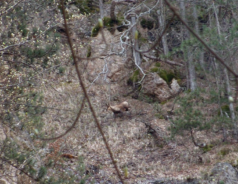 DSCN3106crop
