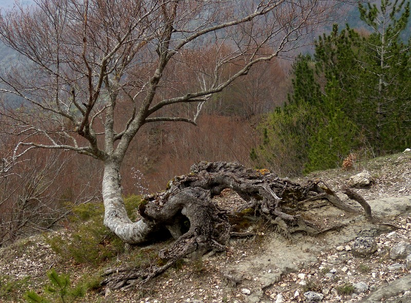 DSCN3179