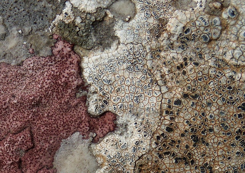 DSCN3195crop