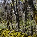 DSCN3077