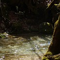 DSCN3085a