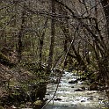 DSCN3086