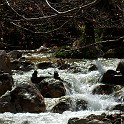 DSCN3087