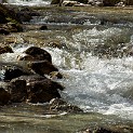 DSCN3087a