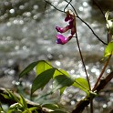 DSCN3089