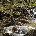 DSCN3090