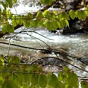 DSCN3095