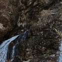 DSCN3104