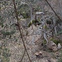 DSCN3106