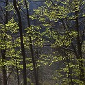 DSCN3118