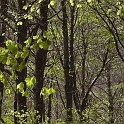 DSCN3119