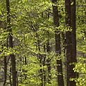 DSCN3121