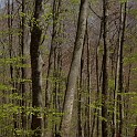 DSCN3123a