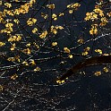 DSCN3125