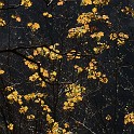 DSCN3132